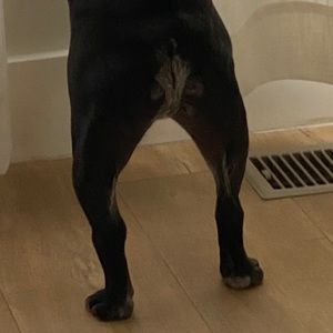 Meet your Posher, Scott